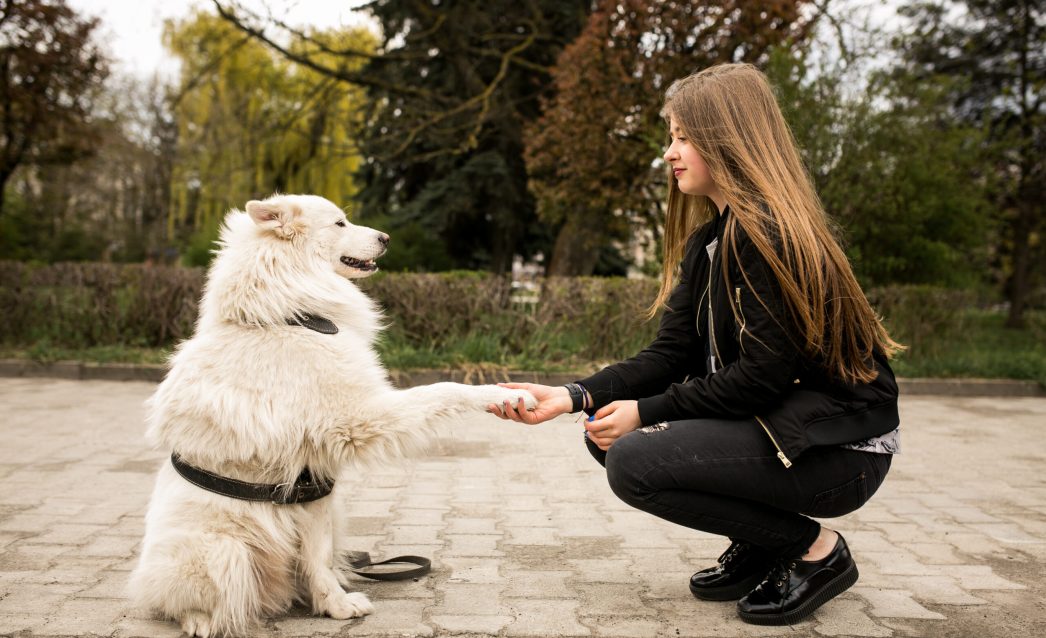 walk-female-african-dog-person